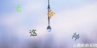 验证码